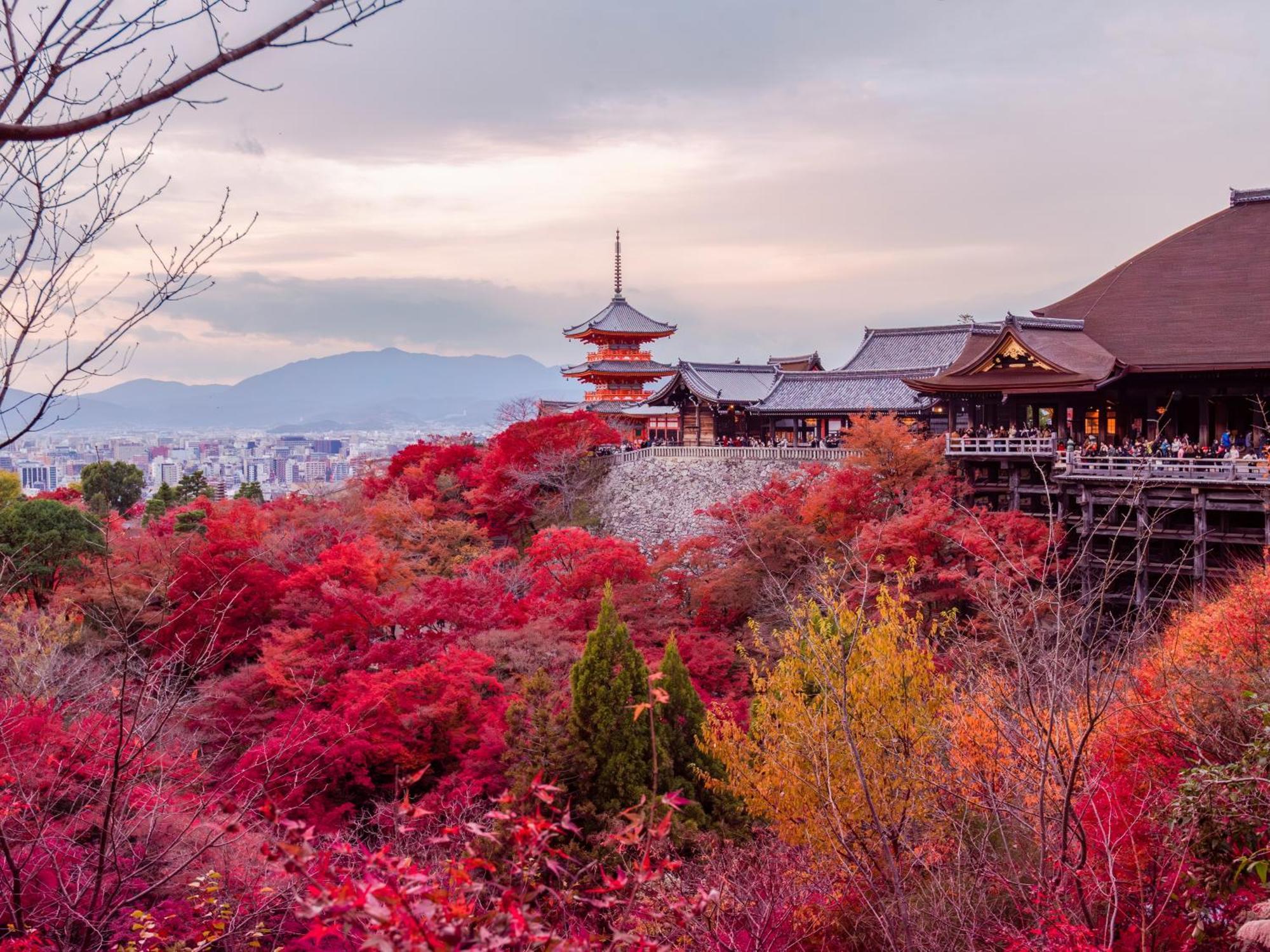 Stitch Hotel Kyoto Luaran gambar